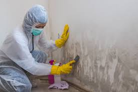 Best Mold Remediation for Healthcare Facilities  in Hlside, IL